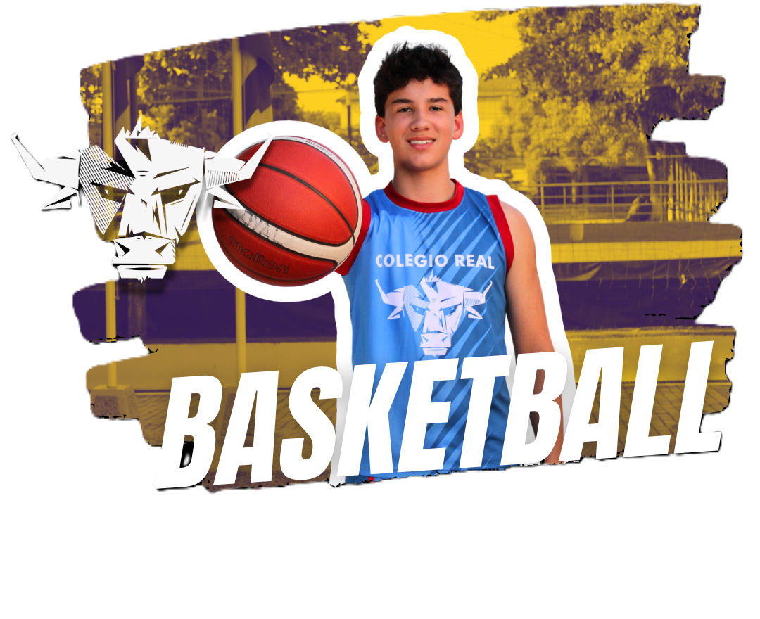 Imagen de Basketball