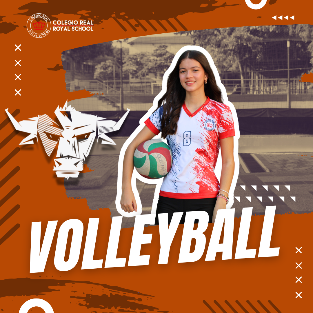 Imagen de Volleyball