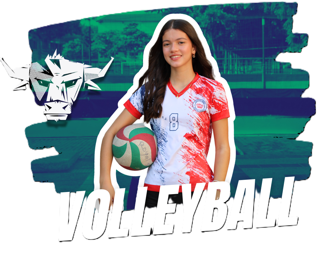 Imagen de Volleyball